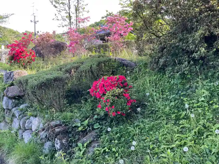 大光普照寺(埼玉県)