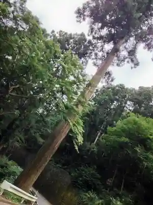 太平山神社(栃木県)