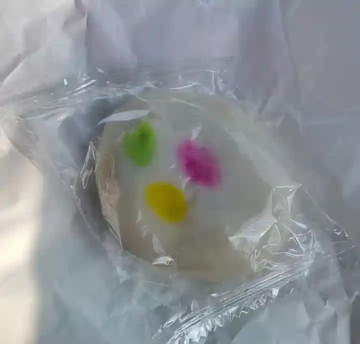 泉龍寺(栃木県)