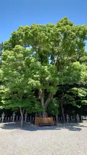 巴江神社(愛知県)