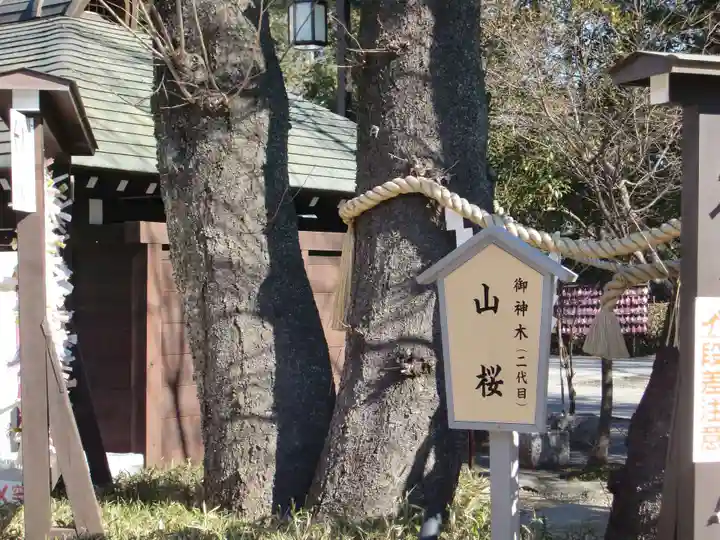 櫻木神社(千葉県)
