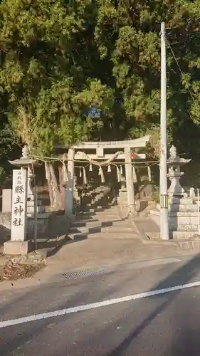 縣主神社の鳥居