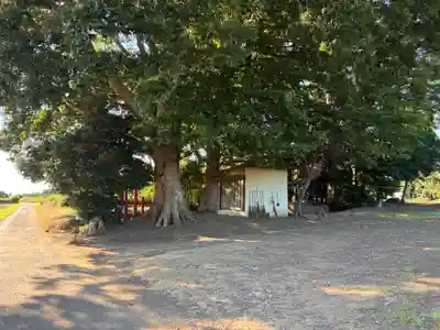 三十番神(千葉県)