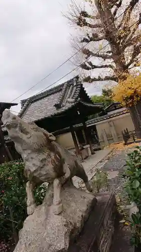 摩利支天堂 禅居庵の狛犬