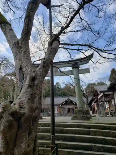 足羽神社の建物その他