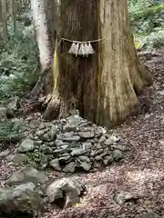 天の岩戸神社(三重県)