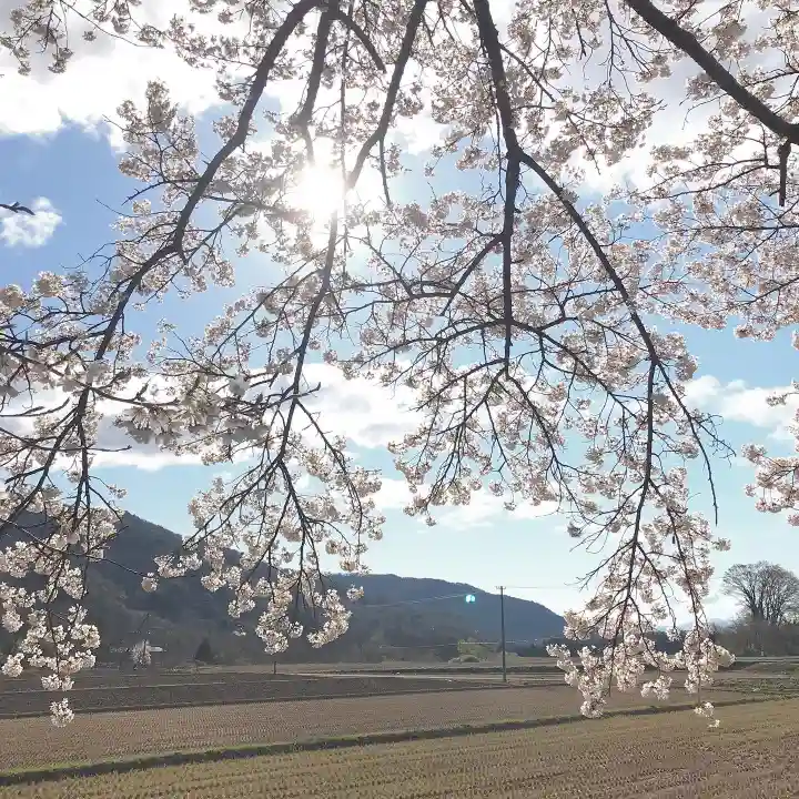 高司神社〜むすびの神の鎮まる社〜の自然