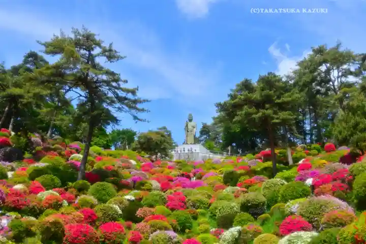 塩船観音寺(東京都)