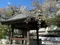 蓮馨寺(埼玉県)