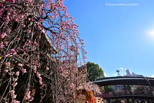 湯島天満宮(東京都)