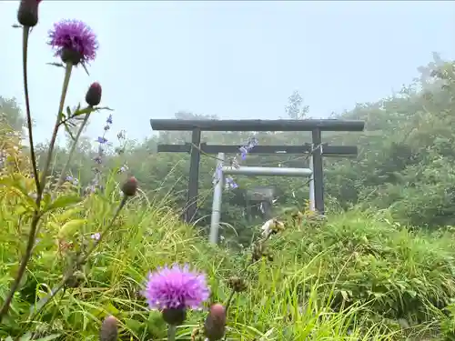 飯縄神社 奥社の鳥居