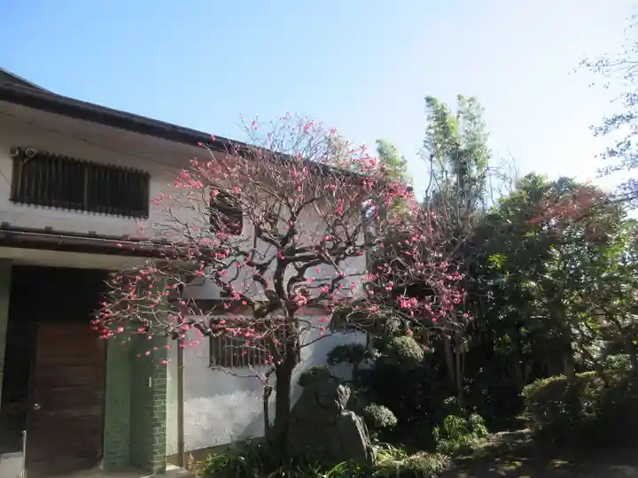 妙円寺(東京都)