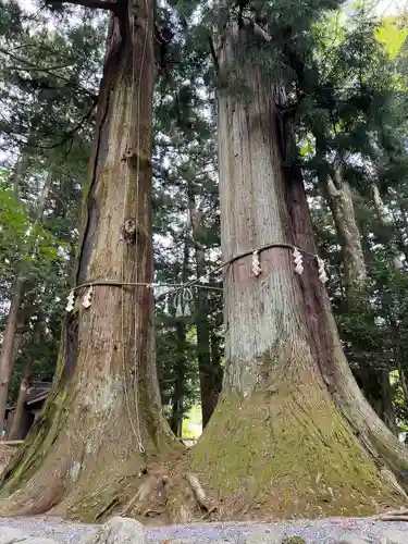 河口浅間神社(山梨県)