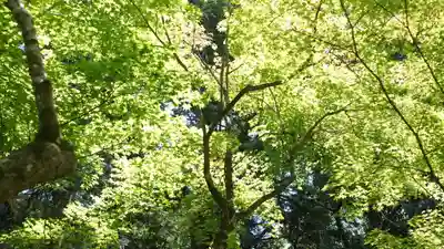 詩仙堂(丈山寺)(京都府)