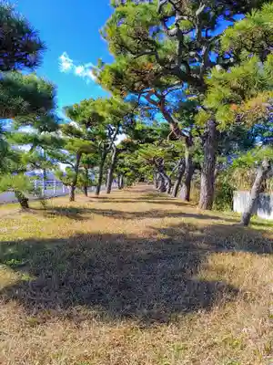 鞆江神社(明地)の自然