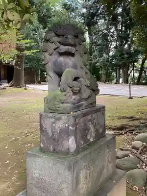 赤坂氷川神社の狛犬