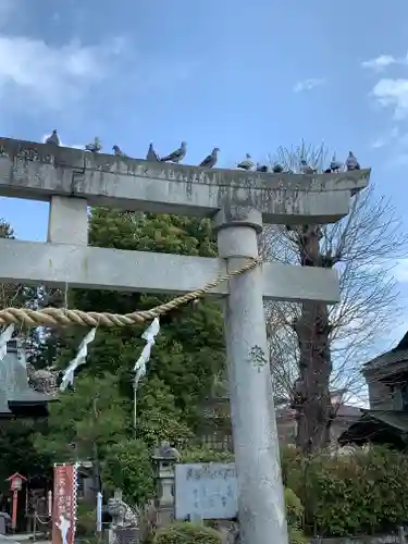 今市報徳二宮神社の動物