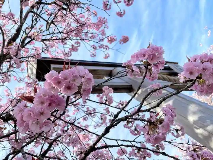 春日神社の自然