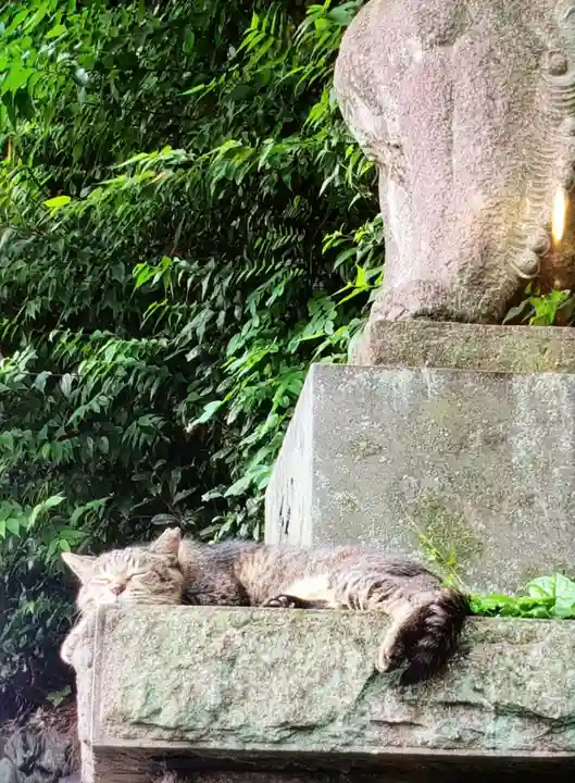 代々木八幡宮(東京都)