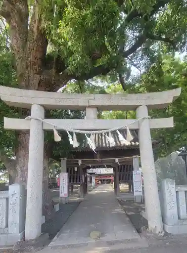 高忍日賣神社(愛媛県)