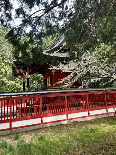 冨士御室浅間神社(山梨県)