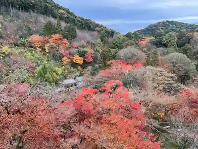 清水寺(京都府)