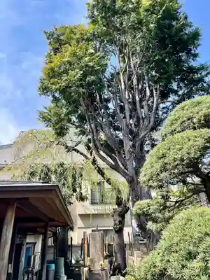 本行寺(東京都)