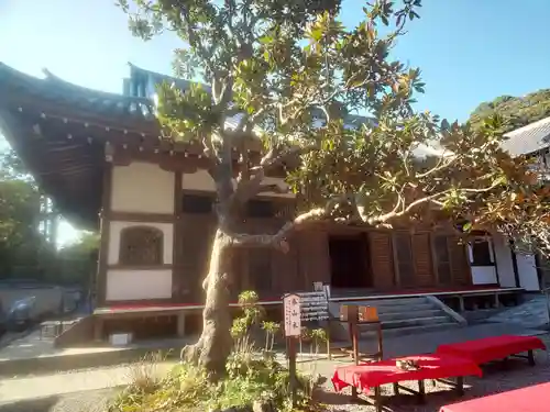 佛日庵の本殿・本堂