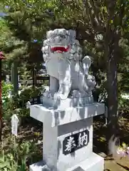 北見神社の狛犬