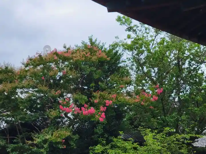 下御霊神社の自然