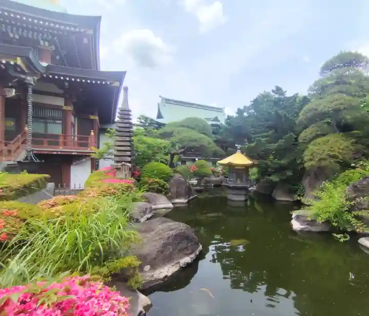 乗蓮寺の{uncategorized: "未分類", other: "その他", undefined: "問題あり", building: "その他建物", grave: "お墓", sacred_gate: "鳥居", guardian: "狛犬", statue: "像", buddha: "仏像", history: "歴史", nature: "自然", garden: "庭園", animal: "動物", pagoda: "塔", temizu: "手水舎", mountain_gate: "山門・神門", sanctuary: "本殿・本堂", subordinate: "末社・摂社", art: "芸術", scenery: "景色", jizo: "地蔵", ema: "絵馬", goshuin: "御朱印", omikuji: "おみくじ", items: "授与品その他", amulet: "お守り", goshuincho: "御朱印帳", eats: "食事", festival: "お祭り", votive_dance: "神楽", shichigosan: "七五三参", wedding: "結婚式", experience: "体験その他", initially: "初詣", around: "周辺", anti_infection: "感染症対策"}
