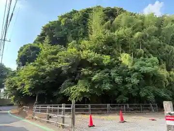 大宮神社(千葉県)