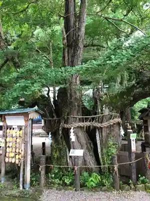 伊那下神社のその他建物