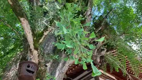 吉備津神社(岡山県)
