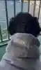 まさき