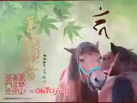 普門寺(切り絵御朱印発祥の寺)の御朱印