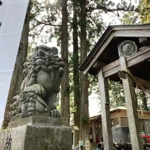 坪沼八幡神社の狛犬