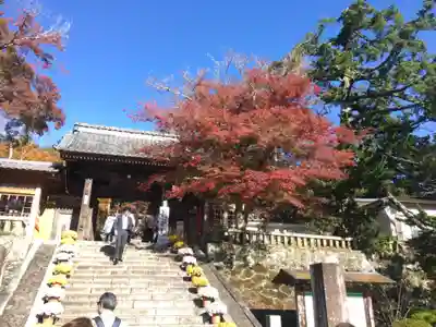 修禅寺の山門・神門