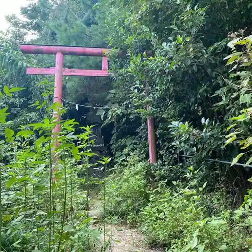 埼玉厄除け開運大師・龍泉寺（切り絵御朱印発祥の寺）の鳥居