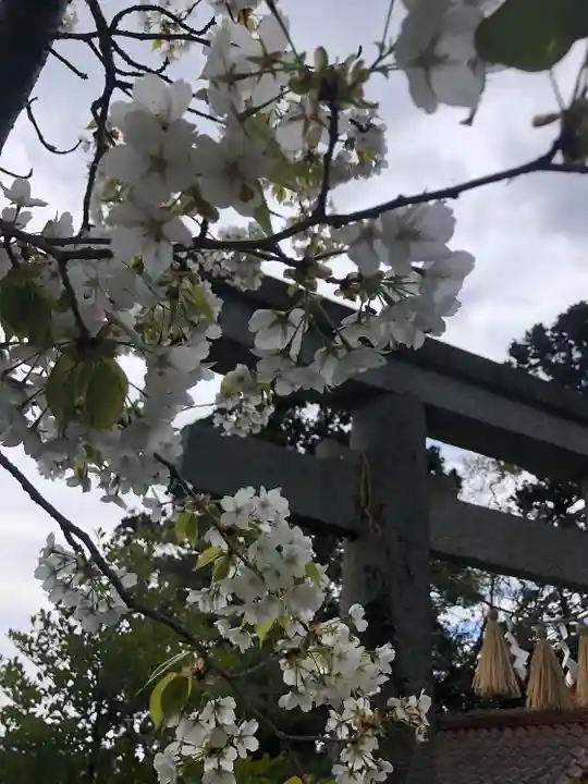 古谷館八幡神社(宮城県)