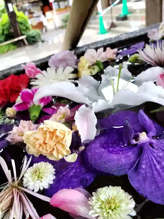 鳩森八幡神社の手水舎