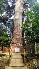 麻賀多神社(千葉県)