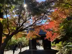 普門寺(切り絵御朱印発祥の寺)の山門