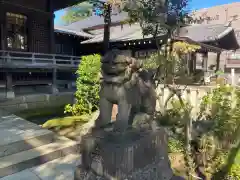 白山神社の狛犬