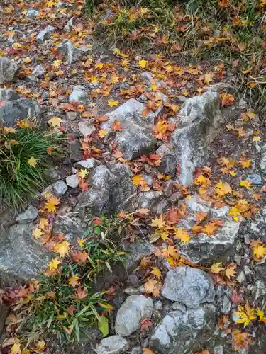 伊吹山寺(滋賀県)