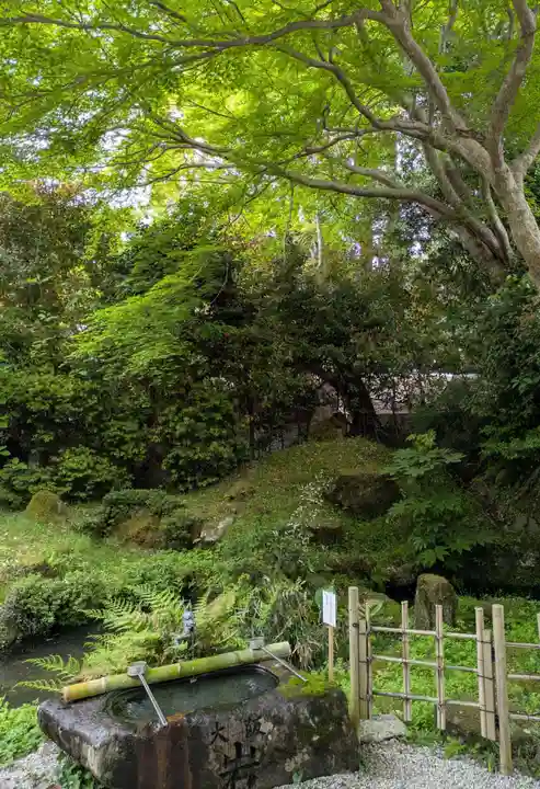 𠮷水神社(吉水神社)(奈良県)
