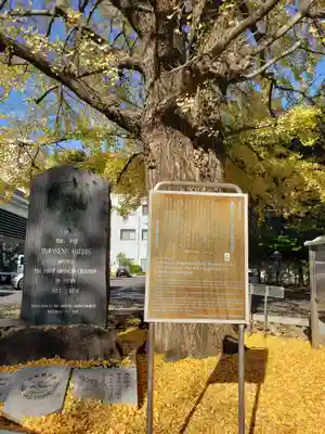 善福寺(東京都)