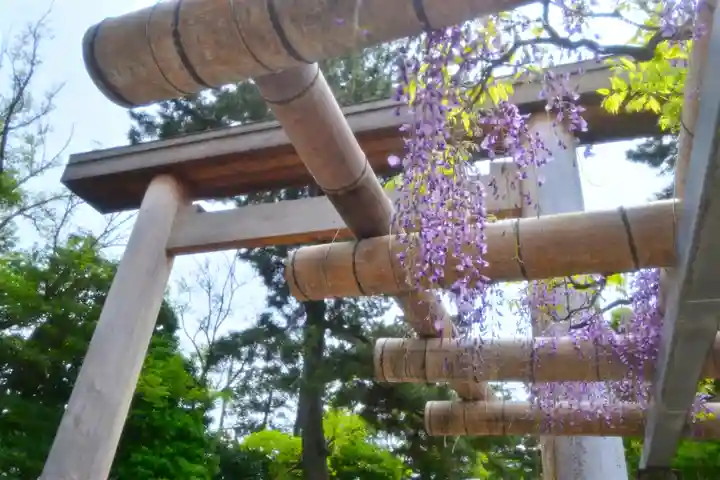 越ヶ谷久伊豆神社(埼玉県)