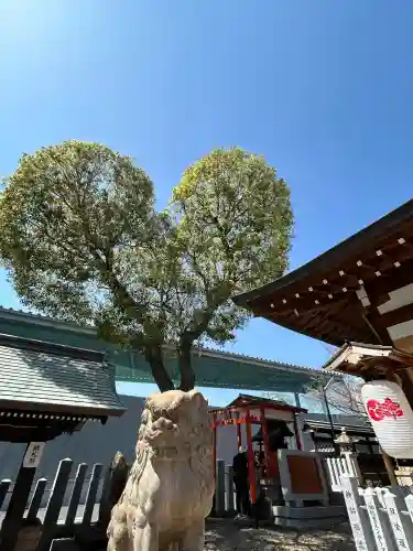 南宮宇佐八幡神社（脇浜神社）の{uncategorized: "未分類", other: "その他", undefined: "問題あり", building: "その他建物", grave: "お墓", sacred_gate: "鳥居", guardian: "狛犬", statue: "像", buddha: "仏像", history: "歴史", nature: "自然", garden: "庭園", animal: "動物", pagoda: "塔", temizu: "手水舎", mountain_gate: "山門・神門", sanctuary: "本殿・本堂", subordinate: "末社・摂社", art: "芸術", scenery: "景色", jizo: "地蔵", ema: "絵馬", goshuin: "御朱印", omikuji: "おみくじ", items: "授与品その他", amulet: "お守り", goshuincho: "御朱印帳", eats: "食事", festival: "お祭り", votive_dance: "神楽", shichigosan: "七五三参", wedding: "結婚式", experience: "体験その他", initially: "初詣", around: "周辺", anti_infection: "感染症対策"}
