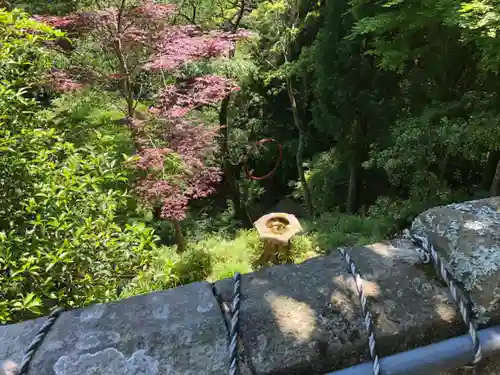 大山寺の景色